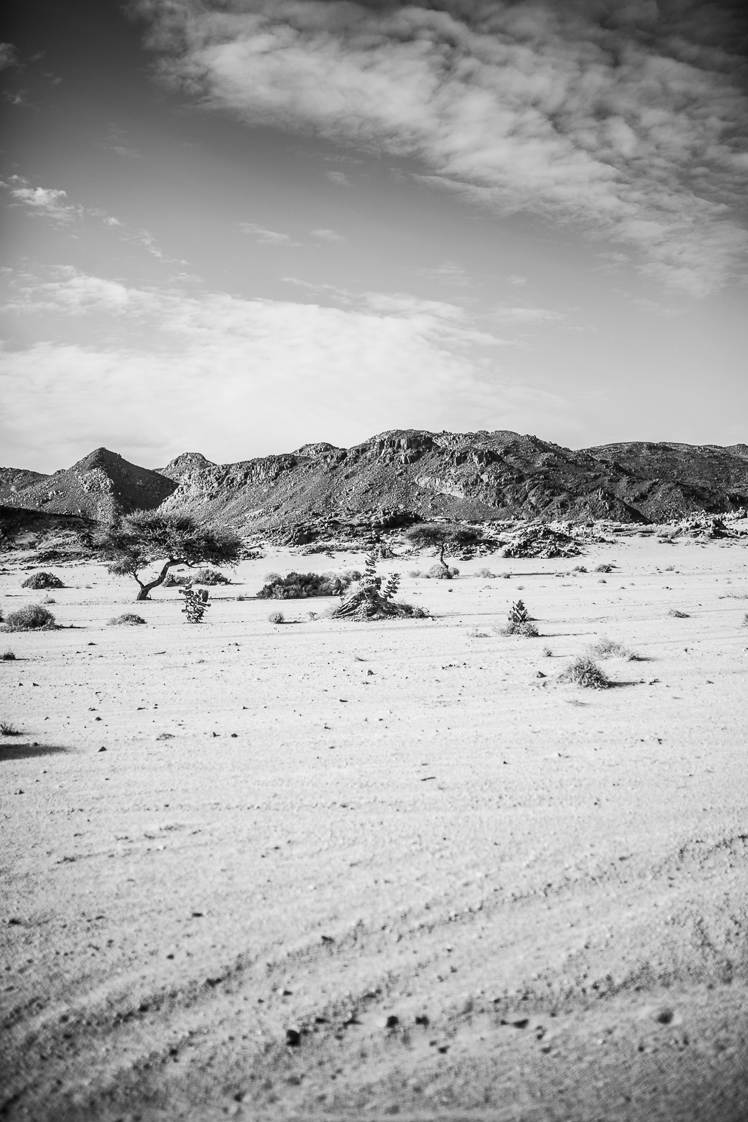 Human & Nature  outoftime 26